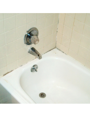 Hg Eficaz limpiador de Moho en Spray 500 ml