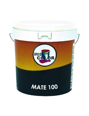 PINTURA PLASTICO NEGRO MATE 14 LT