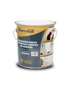 Pintura Antimanchas al Disolvente Ferro-White Blanca 15 lts
