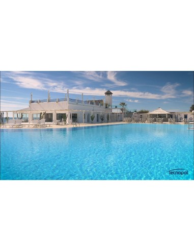 TECNOTOP 2CP Blanco Ral 9003 Resina de...