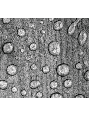 WoodCream 1 tts Transparente