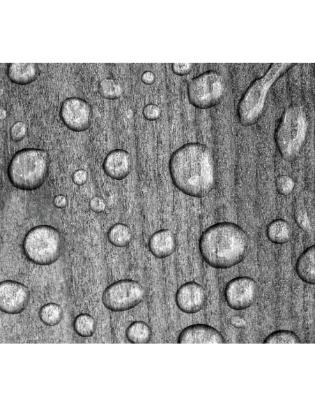 WoodCream 1 tts Transparente