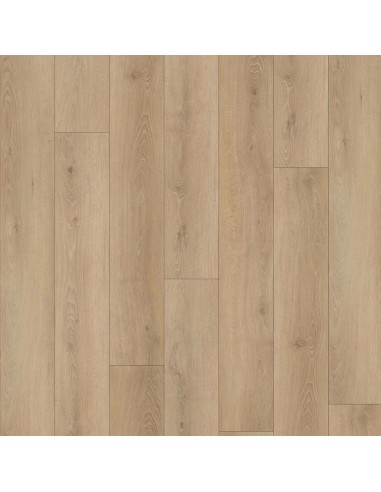 Tarima Ac5 Tottal Plus Protección frente al...